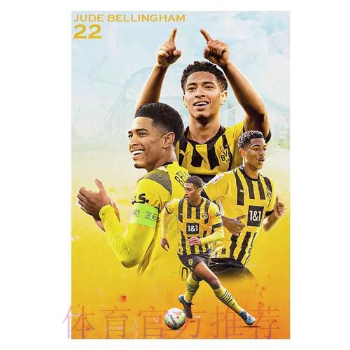 世界杯法国贝林厄姆焦点对决深度解读 世界杯法国贝林厄姆焦点对决深度解读